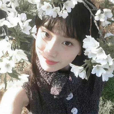 廉政狙击国语封面